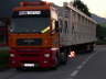 DSCN0926